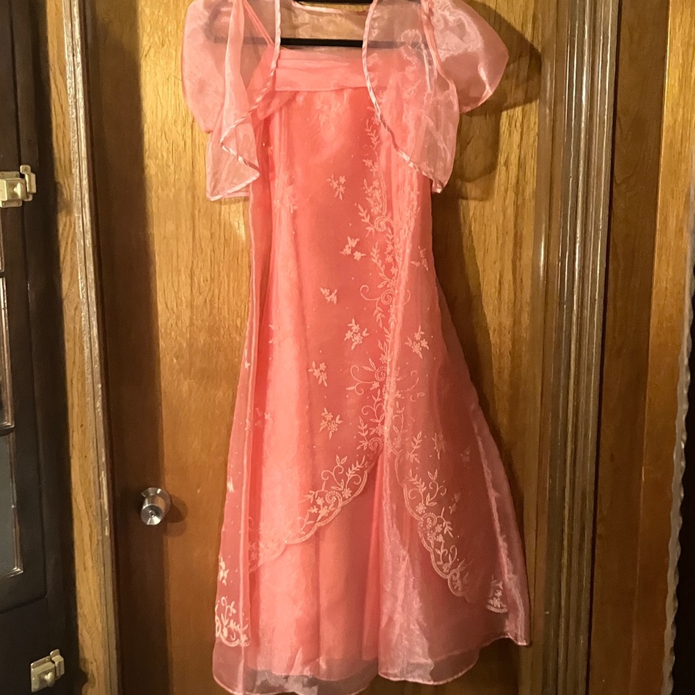 Elegant Pink/Peach Embroidered Dress